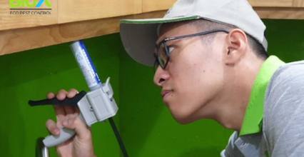 Dịch vụ diệt gián Đức chuyên nghiệp tại Biox Dịch vụ diệt gián Đức chuyên nghiệp tại Biox