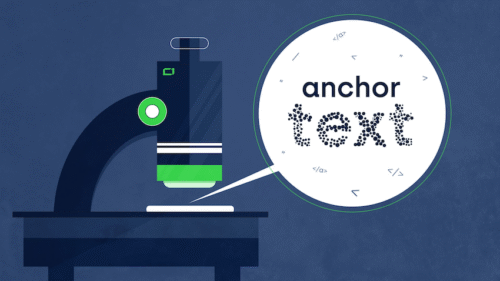 Cách Phân Tích Và Tối Ưu Phân Bố Anchor Text chi tiết