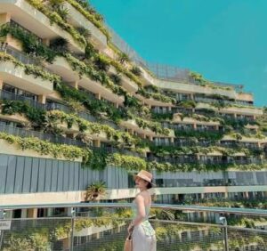 Kinh Nghiệm Đi Tàu Cao Tốc Ra Đảo Cát Bà Tiết Kiệm Và Thuận Tiện