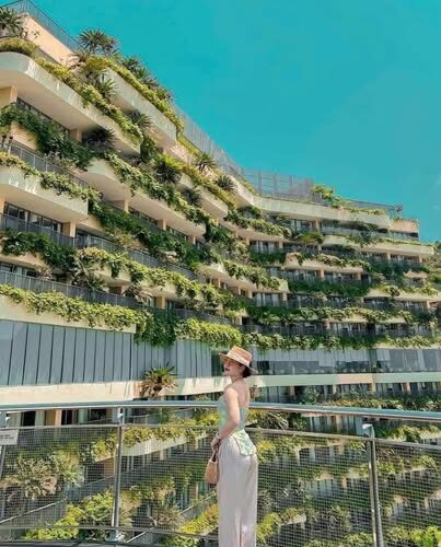 Kinh Nghiệm Đi Tàu Cao Tốc Ra Đảo Cát Bà Tiết Kiệm Và Thuận Tiện
