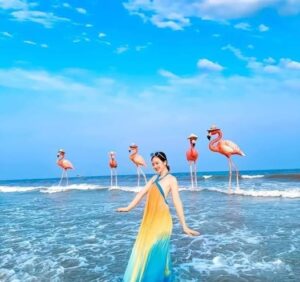 Trọn Bộ Những Chi Phí Cần Khi Đến Du Lịch Flamingo Hải Tiến 2 Ngày 1 Đêm