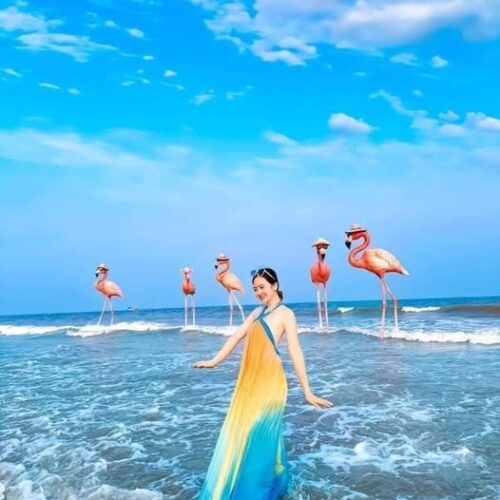 Trọn Bộ Những Chi Phí Cần Khi Đến Du Lịch Flamingo Hải Tiến 2 Ngày 1 Đêm