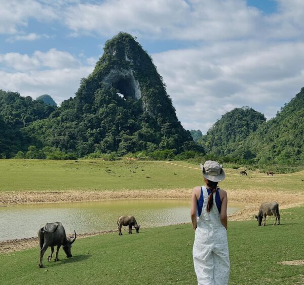 Giá Vé Tham Quan Thác Bản Giốc 2025 Bao Gồm Những Gì