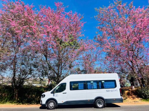 Dịch vụ thuê xe 18 chỗ chạy ngoại tỉnh của thuexehuydat.com sở hữu nhiều ưu điểm vượt trội 