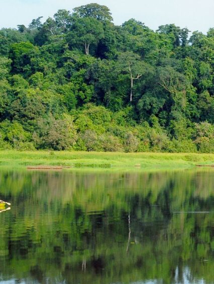 Gợi Ý Một Số Địa Điểm Tổ Chức Gala Dinner Khi Du Lịch Nam Cát Tiên