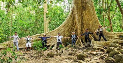 Gợi Ý Lịch Trình Nam Cát Tiên 1 Ngày Dành Cho Bạn