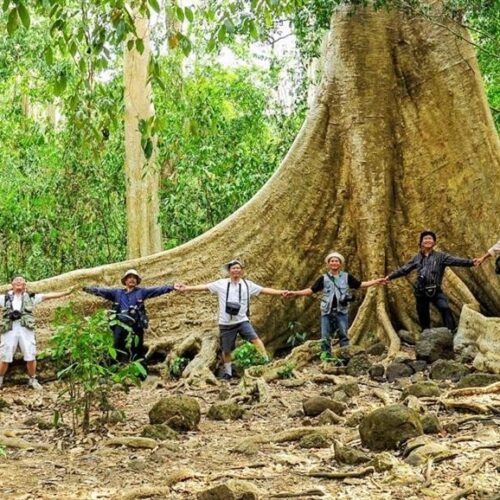 Gợi Ý Lịch Trình Nam Cát Tiên 1 Ngày Dành Cho Bạn