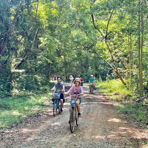 Tổ Chức Gala Dinner Và Kinh Nghiệm Khi Đi Nam Cát Tiên 2 Ngày 1 Đêm