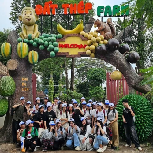 Cách Di Chuyển Đến Đất Thép Farm Cho Chuyến Đi 1 Ngày