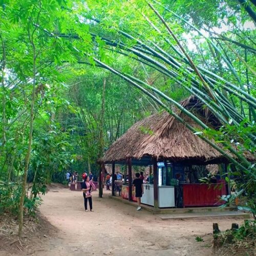 Những Điều Thú Vị Nhất Định Bạn Phải Trải Nghiệm Ở Củ Chi