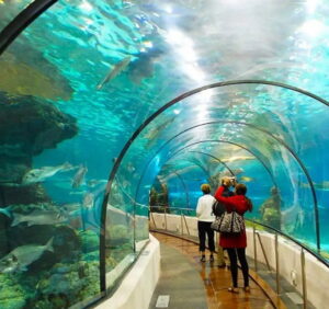 Những Trải Nghiệm Hấp Dẫn Nhất Định Phải Thử Khi Ghé Thăm Suối Tiên