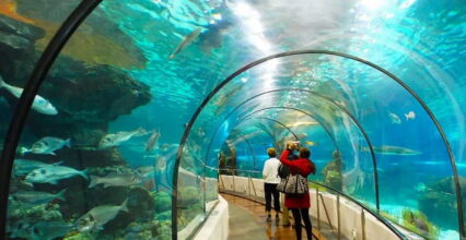 Những Trải Nghiệm Hấp Dẫn Nhất Định Phải Thử Khi Ghé Thăm Suối Tiên