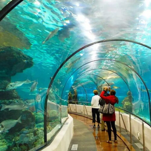 Những Trải Nghiệm Hấp Dẫn Nhất Định Phải Thử Khi Ghé Thăm Suối Tiên